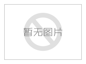 渣漿水泵引見(jiàn)渣漿泵運(yùn)用不當(dāng)容易惹起哪些問(wèn)題？